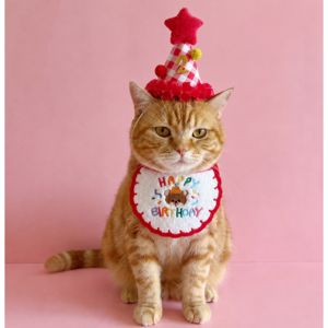 제노리 반려동물 강아지 고양이 생일 파티 케이프 모자 세트, 1개, 레드