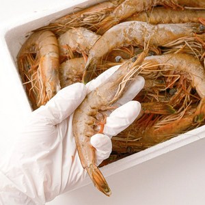 국내산 자연산 대하 1kg, 1개