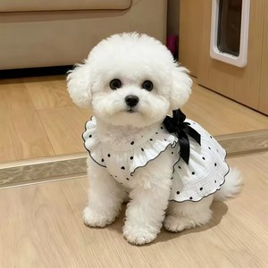 여름 공주 스타일 반려묘 반려견 도트 리본 원피스 소형 고양이 강아지 산책 의류, L 체중(4kg-5kg)