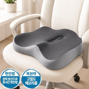 사레오 편안한 고밀도 메모리폼 방석 꼬리뼈 자세교정, 투톤그레이