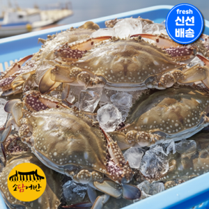 [소담어반] 서해안 당일조업 활 숫꽃게 국내산 꽃게 산지직송, 1개, 5kg(15-17미)