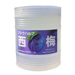 단비공장 청량한 과일 슬라임 스트레스 해소, 1개, 500g, 푸룬