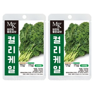 모칸도 좋은씨앗 컬리케일 씨앗 500립 크라우저 케일 잎채소 야채 씨앗, 2개