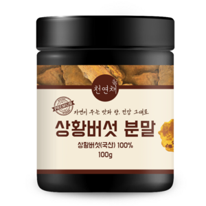 천연채 국산 상황버섯 분말 가루 무첨가 원물 건강차 활력관리, 1개, 100g