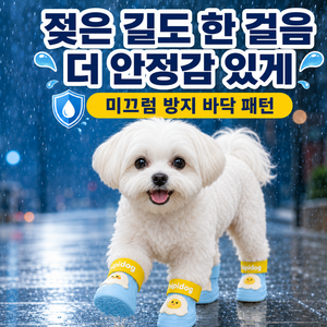 르와핏 강아지 신발 방수 미끄럼 방지 방수신발 레인부츠, 1세트, 파랑