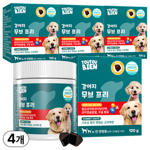 강아지 영양제 관절 슬개골 철갑상어 콘드로이친 뚜뚜비앙, 4박스, 뼈/관절강화, 120g
