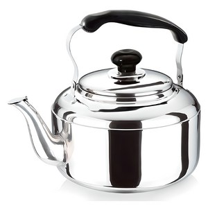 퀸센스 하모니 주전자, 4L, 혼합색상, 1개