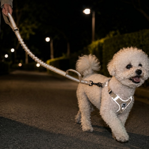 야간 빛반사 강아지 소형견 중형견 대형견 양손 그립 리드줄 충격완화, 1개, 베이지
