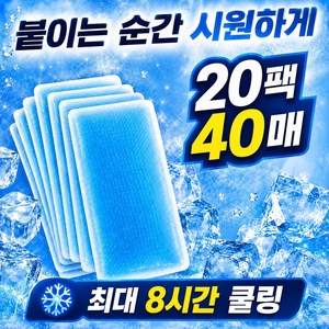 코벤즈 쿨링패치 쿨패치 열패치 냉각시트, 40개