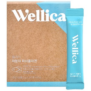웰리카 저분자 피쉬 어린콜라겐 펩타이드 300달톤 이너뷰티, 1개, 60g