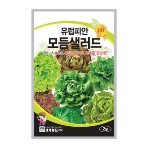 세계종묘 유럽피안 모듬샐러드 씨앗 2g, 모듬유럽피안샐러드2g, 1개