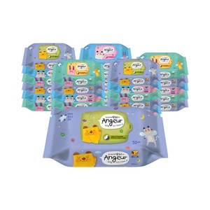 앙쥬르 45 물티슈 휴대용 랜덤 발송, 45g, 20매, 30개