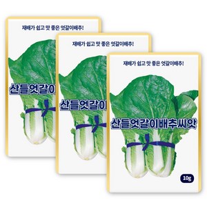 산들 엇갈이 배추씨앗 10g 단묶음 작업 편하고 내병성 강한 엇갈이 배추씨 종자, 3개