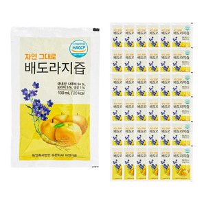 자연식품 자연 그대로 배도라지즙, 100ml, 100개