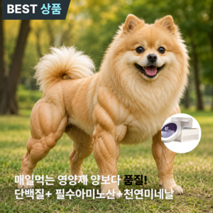 퍼피누 강아지 피부영양제 눈 관절 면역 장개선 아미노산 미네날 토핑형영양제 흰집귀뚜리미, 1개, 종합영양제, 45g