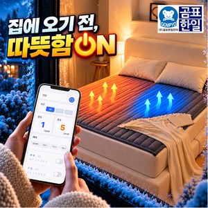 [2026년형 신제품] 곰표한일 IOT 폭신폭신 패딩 탄소매트, Gray, KING(160X200)