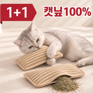 이세힐 고양이 캣닢 장난감 1+1, 1세트, 혼합색상