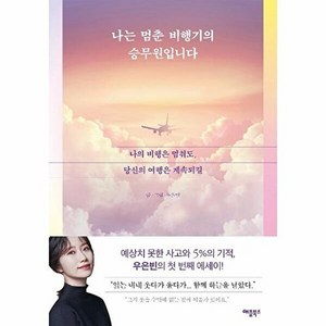 나는 멈춘 비행기의 승무원입니다:나의 비행은 멈춰도 당신의 여행은 계속되길, 애플북스, 우은빈