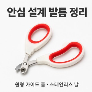 초보자용 고양이 발톱깎이 혈관방지 안전 구멍 디자인 휴대용 스테인리스 스틸 고양이 손톱깎이 고양이 발톱깎이 초보자 필수 혈관보호 안전형 가위형 소형 가벼운 23g, 1개, 주황