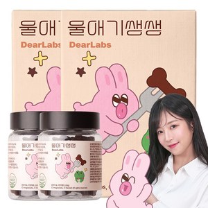 디어랩스 강아지 울애기쌩쌩 노견 눈 피부 관절 면역 장 종합영양제, 60정, 2개