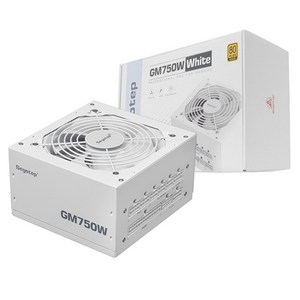 Segotep GM750W 80PLUS GOLD 풀모듈러 ATX 3.1 (PCIE5.1) 화이트, 1개