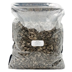 대형해바라기씨, 1.95kg, 1개