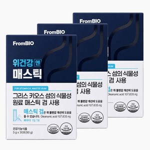 프롬바이오 위건강 엔 매스틱, 90g, 3개
