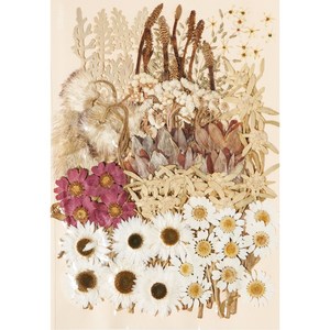 대만압화 대용량 압화꽃모음 18종 압화공예 레진아트 청첩장액자, 05.1325-블랙화이트(대)