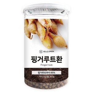 헬로우그린 핑거루트환, 350g, 1개