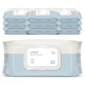 데일리워터 간편한장 물걸레 청소포 특대형 캡형 25매, 10개