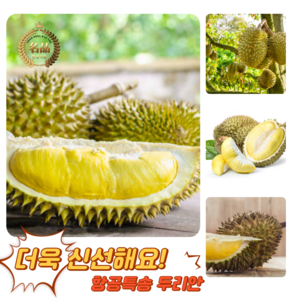 [굿피플] 두리안 생두리안 태국두리안 durian 냉동두리안 듀리안 통두리안, 1박스, 생두리안 5-6kg (2-4수)