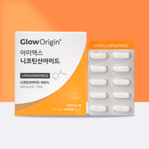 글로오리진 아미맥스 비타민B3 고용량 500mg 나이아신아마이드 니코틴산아미드, 1박스, 100정