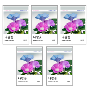 새싹바라기 나팔꽃 씨앗 200립, 5개