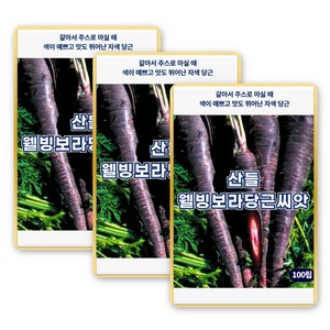 산들 웰빙보라 당근 씨앗 100립 색이 예쁜 자색 당근씨 종자, 3개