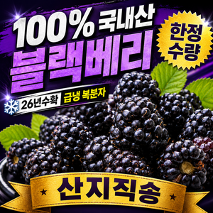 [국내산블랙베리] 한정수량 26년수확 급냉 복분자, 1박스, 5kg 벌크포장