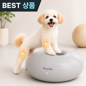 플러클 강아지짐볼 도넛 밸런스볼 슬개골탈구예방, 1개, 그레이