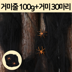 로엔드 할로윈 거미줄 거미 장식 소품 세트, 거미 30마리, 블랙 100g