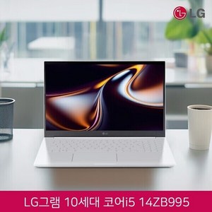 LG 그램 14 IPS FHD 화이트 에디션 14ZB995 코어i5-10210U/램16G/SSD512G/인텔UHD/웹캠/무선랜/15.6 IPS FHD/윈도우11 탑재, 15ZB995, WIN11 Home, 16GB, 512GB