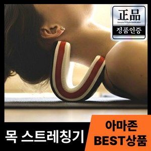 하이핏 넥가드 시원한 목 스트레칭 경추 스트레처, 1개