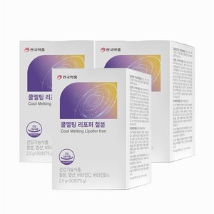 안국약품 쿨멜팅 리포퍼 철분, 3개, 30회분