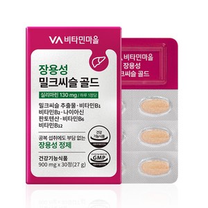 비타민마을 장용성 밀크씨슬 골드 27g, 30정, 1개