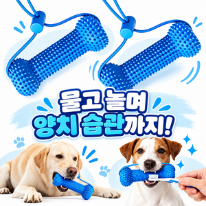 강아지 셀프 양치 장난감 덴탈토이 TPR 이갈이 치아관리 터그놀이, 1개, 블루