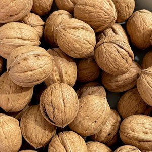 [알찬농부] 국산 햇호두 신품종 얇은 껍질 26년 생산 특품 1kg, 1.1kg, 1개