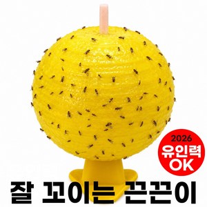 르벤든 초파리 포획 끈끈이 날파리 퇴치 트랩, 1개, 1개입
