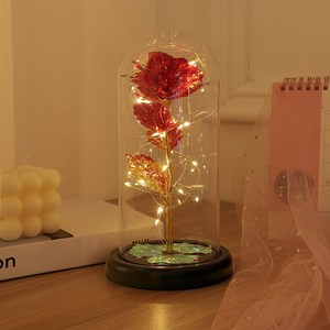투데이리빙 LED 오로라 플라워 무드등 홀로그램 장미 유리돔 조명 다용도 스탠드 수면등 무선 수유등 생일 기념일 선물 감성 인테리어 소품, R98657R(레드, 1개