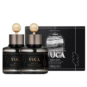 뷰카 센트 클래식 차량용 디퓨저 100ml, 아쿠아키스, 2개