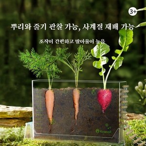 어린이 뿌리 관찰 식물 재배 상자 투명 디자인으로 식물 성장 쉽게 관찰, 1개, 즐기기용 모델(영문판)