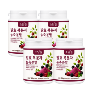 소담뜰 고창 복분자 분말 가루 국내산 발효복분자, 4개, 140g