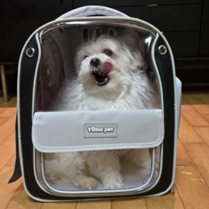 PSMK 강아지 고양이 이동가방 가방 백팩, 1개, 그레이