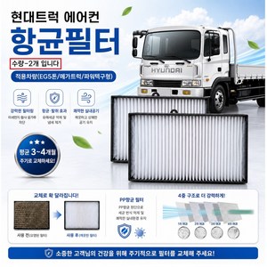 대성부품 현대트럭 메가트럭 메가5톤 파워텍 에어컨 필터 항균필터 실내 공기정화 필터 향균필터 캐빈필터 히터필터 화물차 대형트럭 5톤 교체용 먼지차단 냄새제거 차량용 필타 휠터 2개, EG5톤향균필터 2개